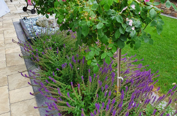 Beispielarbeit von Franz-Dirk Weber Garten- und Landschaftsbau - veröffentlicht auf Gartenbau.org